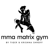 MMA_Matrix_HB_logo 1